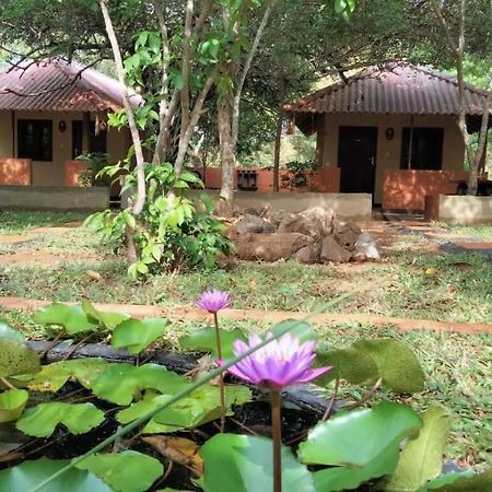 Hotel Niyagala Lodge Sigiriya Dış mekan fotoğraf