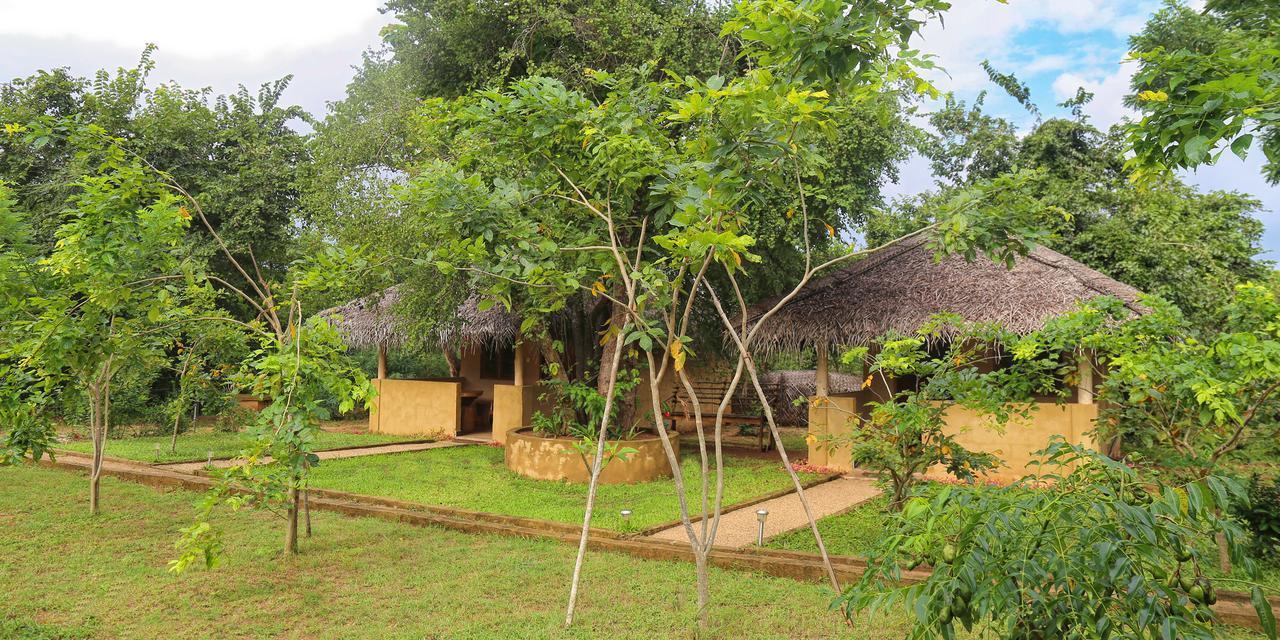 Hotel Niyagala Lodge Sigiriya Dış mekan fotoğraf
