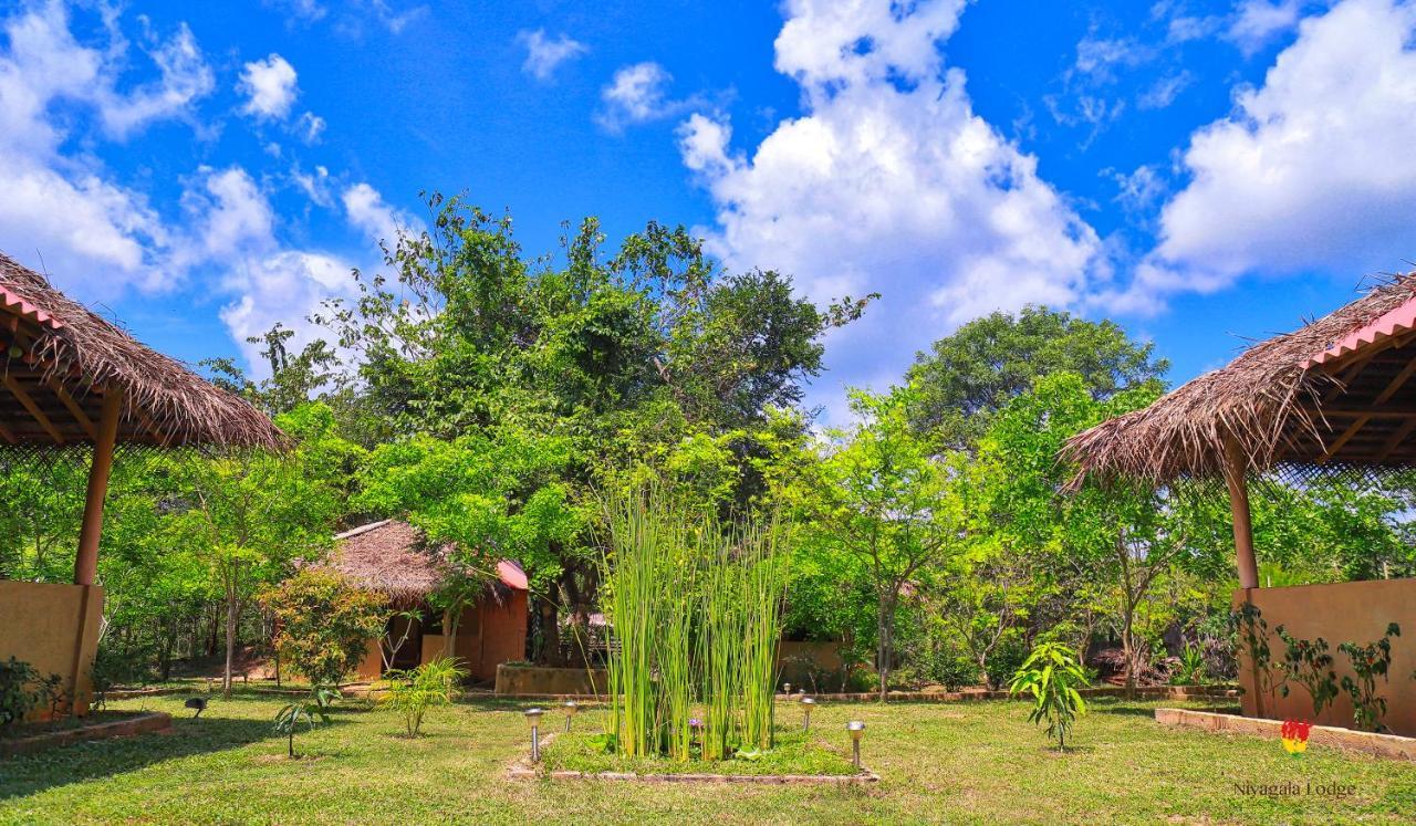 Hotel Niyagala Lodge Sigiriya Dış mekan fotoğraf